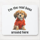 Recherche de citation chien tapis souris Mignon