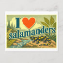 Recherche de salamandres cartes postales Amour