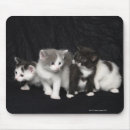 Recherche de studio tapis souris Animal