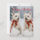 Recherche de noël westie cartes postales Terrier de l'ouest