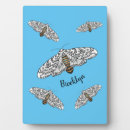 Recherche de leopard plaques Toute personne