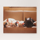 Recherche de french bulldog puzzles Chiot