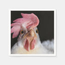 Recherche de cocktail photographie Oiseau
