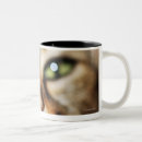 Recherche de tête tigre tasses Nature