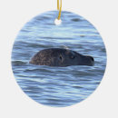 Recherche de phoques ornements Vie marine