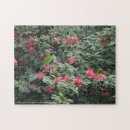 Recherche de oiseau puzzles Famille