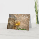 Recherche de tortue sa cartes anniversaire cartes Vieux