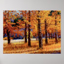 Recherche de truite de ruisseau posters Nature