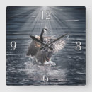 Recherche de gosse horloges Oie