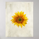 Recherche de tournesol art Imprimer