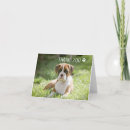Recherche de vétérinaire vœux cartes Pour animaux