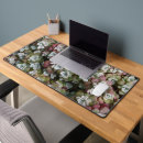 Recherche de sedum tapis souris Botanique
