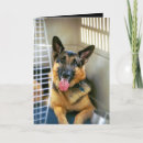 Recherche de velu vœux cartes Fourrure