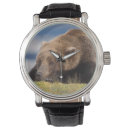 Recherche de ours brun montres Carnivore
