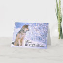 Recherche de loup photographie Loup de bois