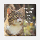 Recherche de slogan chapeaux Chat
