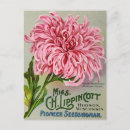 Recherche de graines cartes postales Fruit