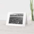 Recherche de 1943 cartes postales Photojournalisme