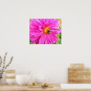 Recherche de abeille photographie Photographie de la nature