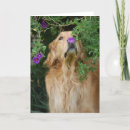Recherche de chien pourpre vœux cartes Fleurs