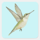 Recherche de colibris autocollants Pour enfants