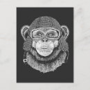 Recherche de casque moto cartes postales Chimpanzé