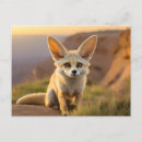Recherche de renard fennec cartes postales Faune