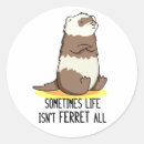 Recherche de furet mignon autocollants Pour tous