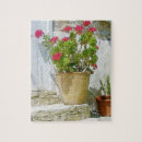 Recherche de geranium puzzles Été
