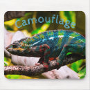 Recherche de reptile tapis souris Caméléon