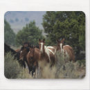 Recherche de chevaux sauvages mustang tapis souris Groupe