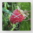 Recherche de mûre horloges Rouge