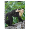 Recherche de singe de bébé carnets Animal