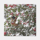 Recherche de houx magnets Hiver