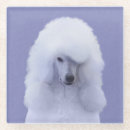 Recherche de caniche dessous de verres Blanc