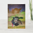 Recherche de turkey vœux cartes Dindons