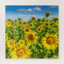 Recherche de ensoleillé puzzles Fleur