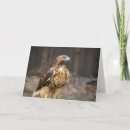 Recherche de queue rouge vœux cartes Animal
