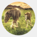 Recherche de consommation autocollants Animal