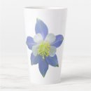 Recherche de colonie tasses Colorado