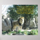 Recherche de citation lion posters Faune
