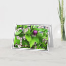 Recherche de plante vœux cartes Fleurir