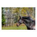 Recherche de black horse posters Étalon