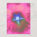 Recherche de velours cartes postales Floral
