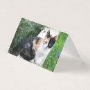 Recherche de opera vœux cartes Chat