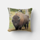 Recherche de nature faune coussins Buffle
