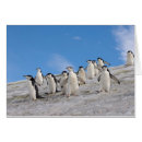 Recherche de péninsule antarctique cartes postales Aquatique