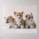 Recherche de parqueter posters Animal