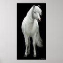 Recherche de chevaux sauvages posters Poney