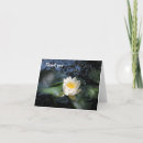Recherche de fleur lotus blanc vœux cartes Pour tous